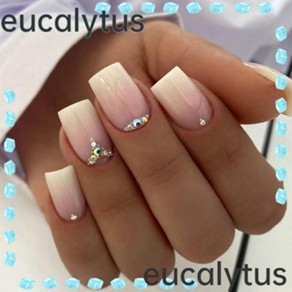 Eucalytus1 เล็บปลอม แบบกด DIY สไตล์ฝรั่งเศส 24 ชิ้น