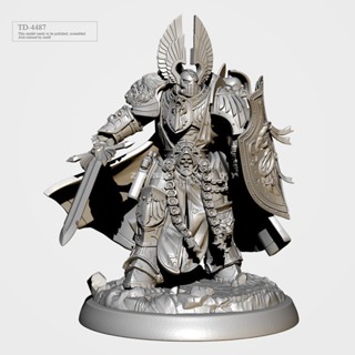 9.9 เหนื่อยมากแม่พิมพ์เรซิ่น สีขาว 38 มม. 50 มม. ZB3D Warhammer Skyhawk Warrior TD-4487 3D 5W7U