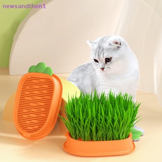 Newsandthen1 กระถางต้นไม้ หญ้า แมว แบบสองชั้น ไร้ดิน สําหรับบ้าน