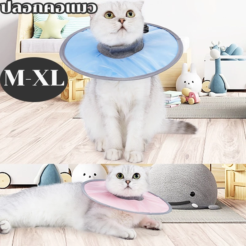 🐱24 ชั่วโมงที่จะส่ง🐱คอลล่าแมว คอลล่ากันน้ำ คอลล่าเบา ปลอกคอกันเลีย กันเกา