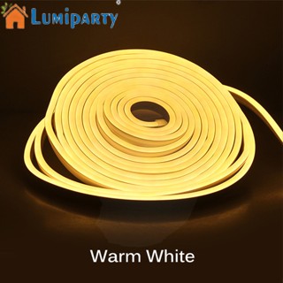 Lumiparty แถบไฟนีออน Led 2835 12v แรงดันต่ํา 5 ม. ซิลิโคน กันน้ํา ยืดหยุ่น สําหรับโฆษณากลางแจ้ง