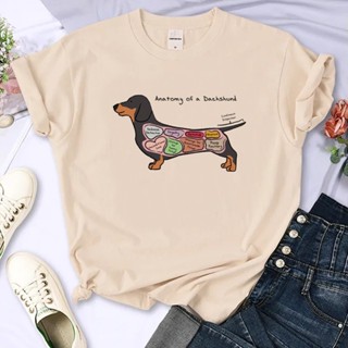 เสื้อยืด พิมพ์ลายการ์ตูน Dachshund แฟชั่นฤดูร้อน สําหรับผู้หญิง