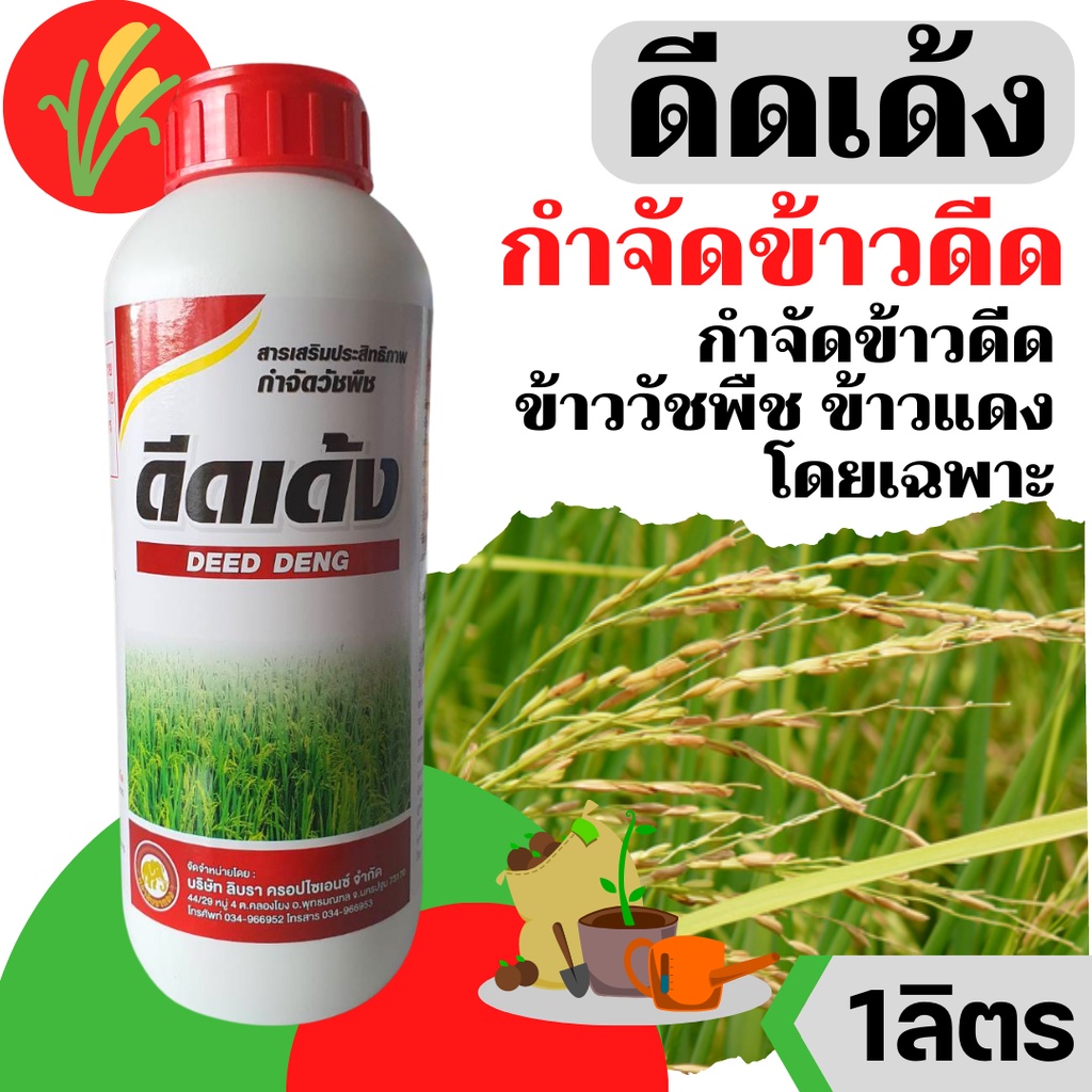 [ทะเบียนใหม่] ดีดเด้ง - สารกำจัดข้าวดีด ข้าวเด้ง ข้าวหาง 1 ลิตร (สินค้าผลิตใหม่ ของแท้แน่นอน )
