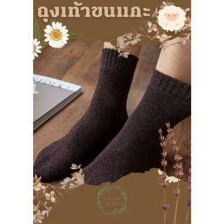 **พร้อมส่ง** ถุงเท้าขนแกะ UNISEX wool sock ไซส์ 38-43