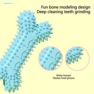 Angeyong ของเล่นทําความสะอาดฟัน รูปกระดูก สําหรับสัตว์เลี้ยง สุนัข
