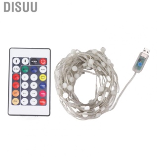 Disuu Home  Globe String Light USB Powered RC 16 Color Lamp