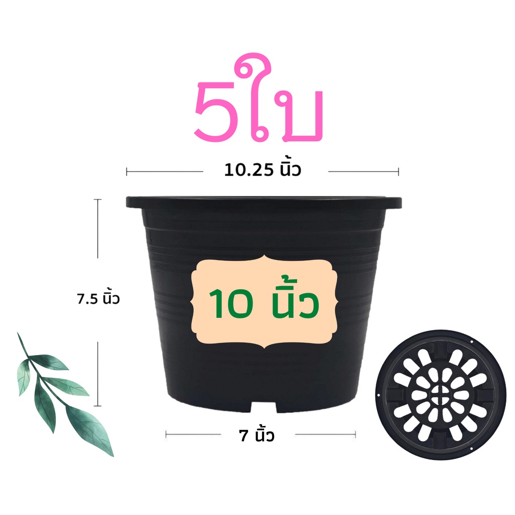 กระถางต้นไม้พลาสติก กระถางต้นไม้ กระถางแคตตัส สีดำ 10 นิ้ว 5 ใบ ราคาส่ง