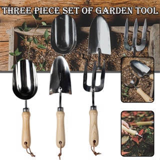 Stainless Steel Gardening Tools with Wood Handle for Succulents Potted Flower