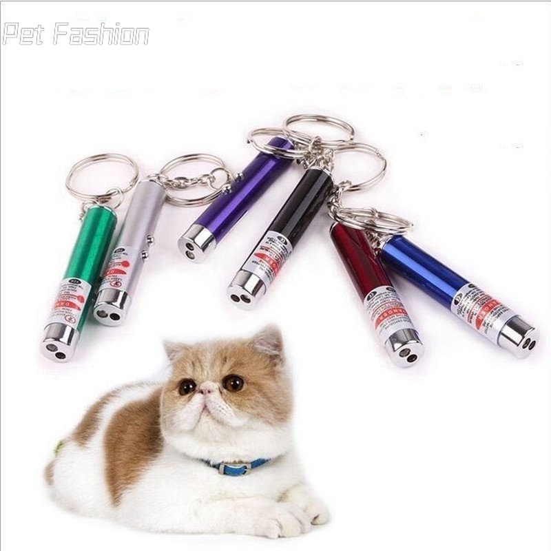 2 In 1 พวงกุญแจปากกาชี้เลเซอร์ 4mW สีแดง พร้อมไฟฉาย LED ของเล่นสําหรับสัตว์เลี้ยง สุนัข แมว
