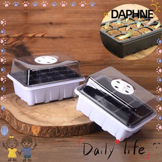 DAPHNE 6/12 เซลล์ ปลูกต้นไม้ ถาด ทําสวน เรือนกระจก แผ่นงอก ฝาพลาสติก ระบายอากาศ กระถางเพาะชํา