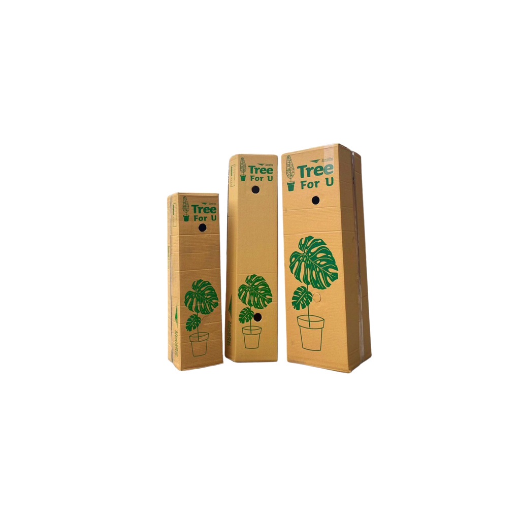Carton Boxes 400 บาท ส่งไว  ส่งไว กล่องใส่ต้นไม้ กล่องไปรษณีย์ (5 ชั้น) (1แพ็ค10ใบ) Stationery