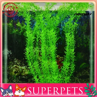 Superpets หญ้าปลอม พลาสติก สีเขียว สําหรับตกแต่งตู้ปลา