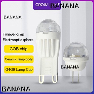 Banana1 ใหม่ หลอดไฟฮาโลเจน G4 220V หรี่แสงได้ สีขาว อบอุ่น แบบเปลี่ยน สําหรับตกแต่งบ้าน