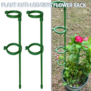 10PCS Plant Support Stakes Single Stem Flower Stake with Fixed Buckle for Orchid