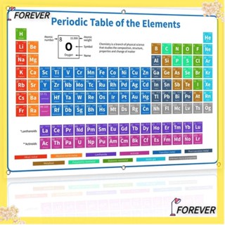 Forever โปสเตอร์แบนเนอร์ ขนาด 40x60 ซม. (16X24 นิ้ว) เพื่อการศึกษา สําหรับตกแต่งผนัง 1 ชิ้น