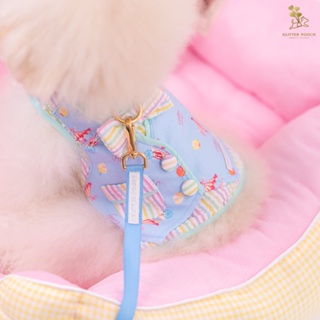 Glitter Pooch Harness ชุดรัดอก สายจูง เสื้อผ้า สุนัข, หมา, แมว, สัตว์เลี้ยง พร้อม สายจูง รุ่น Lolly Fairyland in Blue