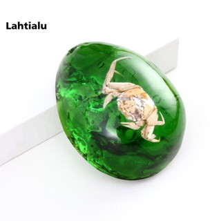 Lahtialu ของเล่นตุ๊กตาสัตว์ สีเหลืองอําพัน หลากสีสัน เสริมการเรียนรู้เด็ก สําหรับเก็บสะสม ของขวัญ