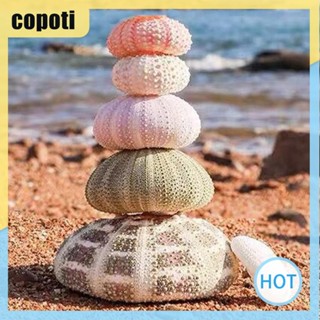 Copoti ขาตั้งกระถางต้นไม้ บอนไซ ขนาดเล็ก สําหรับแขวนตกแต่งบ้าน 5 ชิ้น