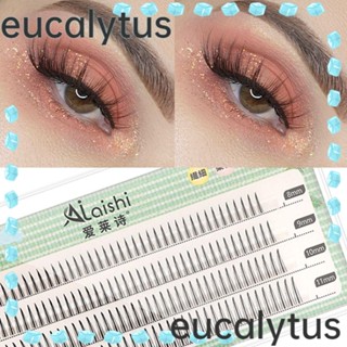 Eucalytus1 ขนตาปลอม 4 แถว น้ําหนักเบา 8 9 10 11 คลัสเตอร์ สําหรับแต่งหน้า DIY