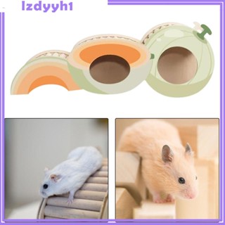 [JoyDIY] ของเล่นอุโมงค์หนูแฮมสเตอร์ ขนาดเล็ก สร้างสรรค์ สําหรับออกกําลังกาย