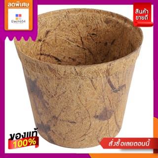 กระถางใยมะพร้าว (6ใบ) SPRING 5.5 นิ้ว สีน้ำตาล  COCONUT FIBER POT SPRING 5.5" BROWN