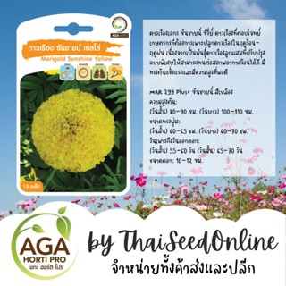 AGAPREMIUM ดาวเรืองซันชายน์เยลโล่ เมล็ดดาวเรือง 15เมล็ด ตราเอกะอะโกร Marigold