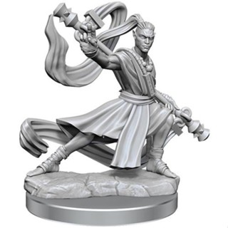 D&amp;D Frameworks W1 - Male Elf Monk