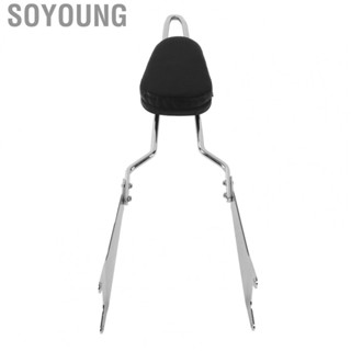 Soyoung Motorcycle Rear Seat Backrest  Well-Equipped Rear Passenger Backrest  Replacement for Yamaha Star Bolt XV950 XVS950 2014-2019 for Motorcycle Riding Safety