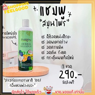 แชมพู แฟรี่ปาย ลดผมร่วง เร่งผมดก บำรุงผม ลดความมัน ขจัดรังแค ผมมีน้ำหนัก ผมไม้แห้ง ไม่ชี้ฟู Fairy Pai Shampoo 300ml.