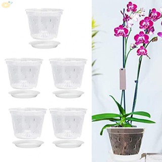 【VARSTR】Flower Pot Stomata Flower Pot Transparent With Holes 7 Inch Home Decor