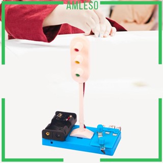 [Amleso] ของเล่นวงจรไฟจราจรฟิสิกส์ LED DIY สําหรับนักเรียน