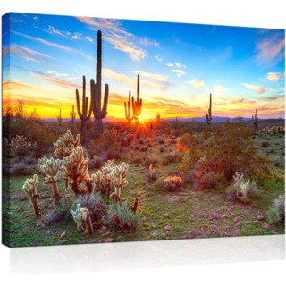 โปสเตอร์ผ้าใบ พิมพ์ลาย Saguaros in Sunset แขวนง่าย สไตล์โมเดิร์น สําหรับตกแต่งบ้าน