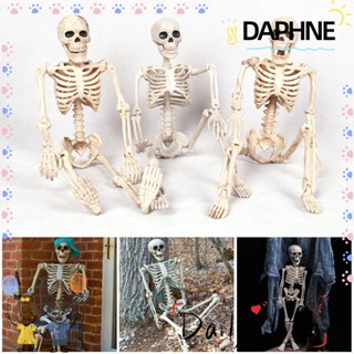 Daphne โมเดลโครงกระดูกมนุษย์ 1 ชิ้น