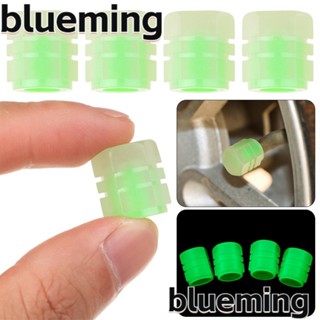 Blueming2 จุกปิดลมยางรถยนต์ กันฝุ่น