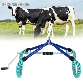 December305 Cow Stand Support Up Assist Device Stainless Steel Standing Holder Frame for Dairy Farm