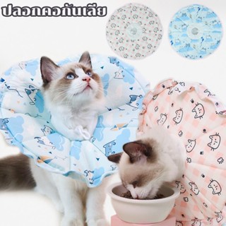 พร้อมส่ง🐱🐱คอลล่าแมว คอลล่ากันน้ำ คอลล่าเบา ปลอกคอกันเลีย กันเกา