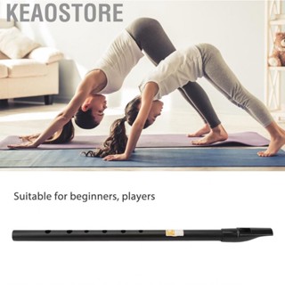 Keaostore C Key Wind Flute  Silver Slick Accurate Tune Learning 6 Holes Irish Whistle for Salon