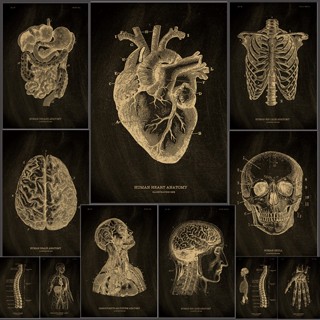Dlkklb โปสเตอร์กระดาษคราฟท์ รูปโครงกระดูก สไตล์วินเทจ สําหรับตกแต่งผนังบ้าน ห้องนักเรียน