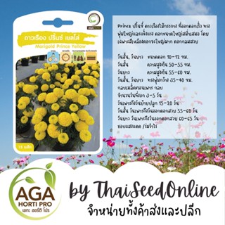 AGAPREMIUM ดาวเรืองปรินซ์เยลโล่เมล็ดดาวเรือง 15เมล็ด ตราเอกะอะโกร Marigold