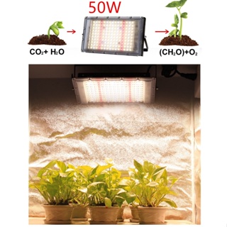 แสงไฟส่องสว่าง 220V Full Spectrum LED Grow Light 50/100W/300W ไฟปลุกต้นไม้ ไฟช่วยต้นไม้ตัวเร็ว แสงขาว   สายไฟยาว1.5M