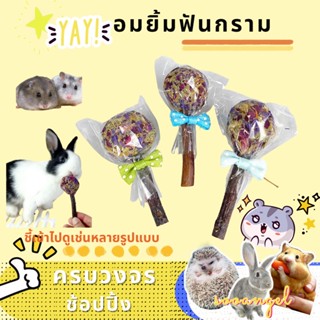 【hamster】พร้อมส่ง!!หนูแฮมสเตอร์กัดฟันเลือกสินค้าแอปเปิ้ลกิ่งไม้ข้าวโพดหวานคุกกี้แกสบี้กระรอกกระต่ายโภชนาการสแน็ค BBT