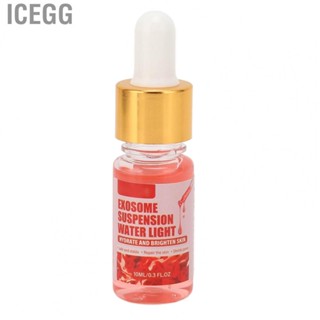 Icegg Hyaluronic Acid Serum  Easy Absorption  Facial Serum  for Pores