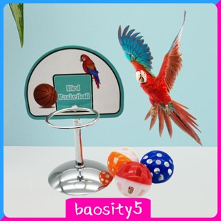 [Baosity5] ของเล่นนกแก้ว บาสเก็ตบอล แอฟริกัน สีเทา ขนาดเล็ก สําหรับฝึกนกแก้ว