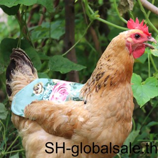 【Global】อานไก่ 5 ชิ้น พร้อมสายยางยืด ผ้าแคนวาส ผ้ากันเปื้อนปีก ป้องกันขนนก อุปกรณ์เสริม สําหรับของขวัญ