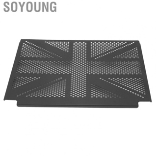 Soyoung Radiator Protector Impact Proof Tough Grill  Deformation for Motorcycle