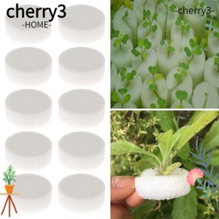 CHERRY3 ถาดฟองน้ํา สําหรับเพาะปลูกในสวน ตู้ปลา 10/50 ชิ้น