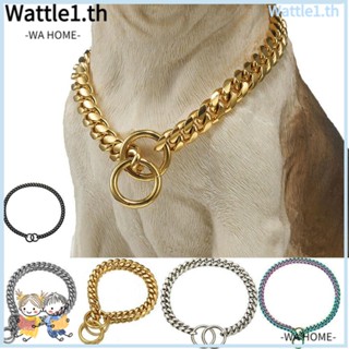 WTTLE Golden ปลอกคอโซ่สเตนเลส เข้ารหัส สําหรับสุนัข