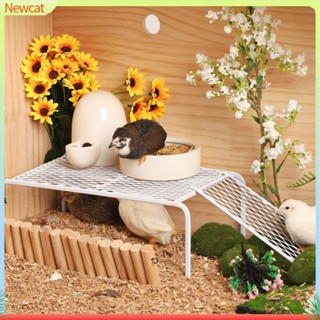 {Newcat} แพลตฟอร์มสเตนเลส พร้อมบันได สําหรับให้อาหารสัตว์เลี้ยง ไก่ 1 ชุด