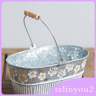 [szlinyou2] ตะกร้าโลหะ ป้องกันสนิม สําหรับปลูกต้นไม้ ดอกไม้ ปากกา โต๊ะทํางาน