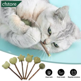 Cfstore ของเล่นอมยิ้ม รูปมิ้นท์น่ารัก สําหรับสัตว์เลี้ยง แมว J6T3